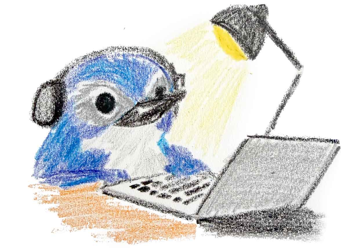 A scrub jay in headphones working at a laptop under a desk lamp